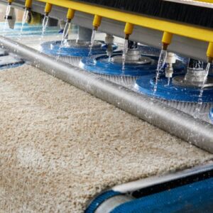 ניקוי שטיחים מקצועי | חברת ניקוי שטיחים